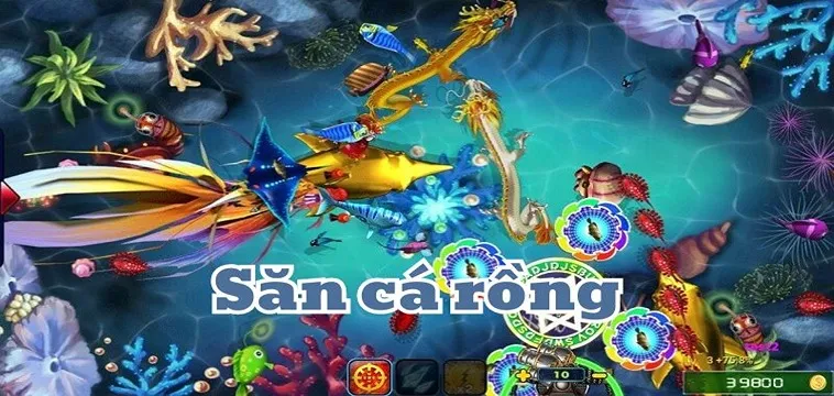 Cách Chơi Bắn Cá Rồng BuBet Hiệu Quả Nhất Hiện Nay