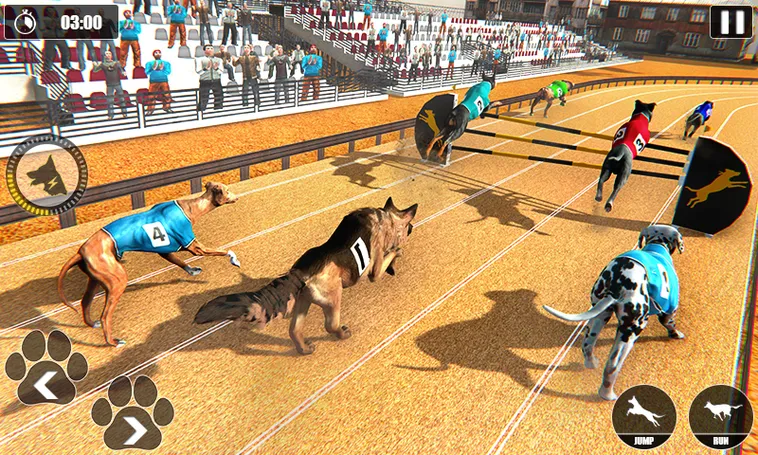 Cách Chơi Game Nhanh Đua Chó Tại BuBet Kịch Tính Nhất